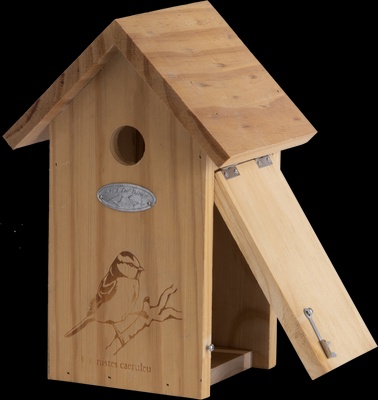 Nido Pajaros Silueta Herrerillo Azul